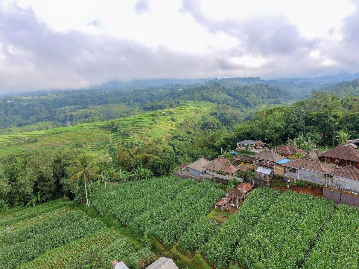 Pondok Nyoman Bedugul By Agata Exterior photo