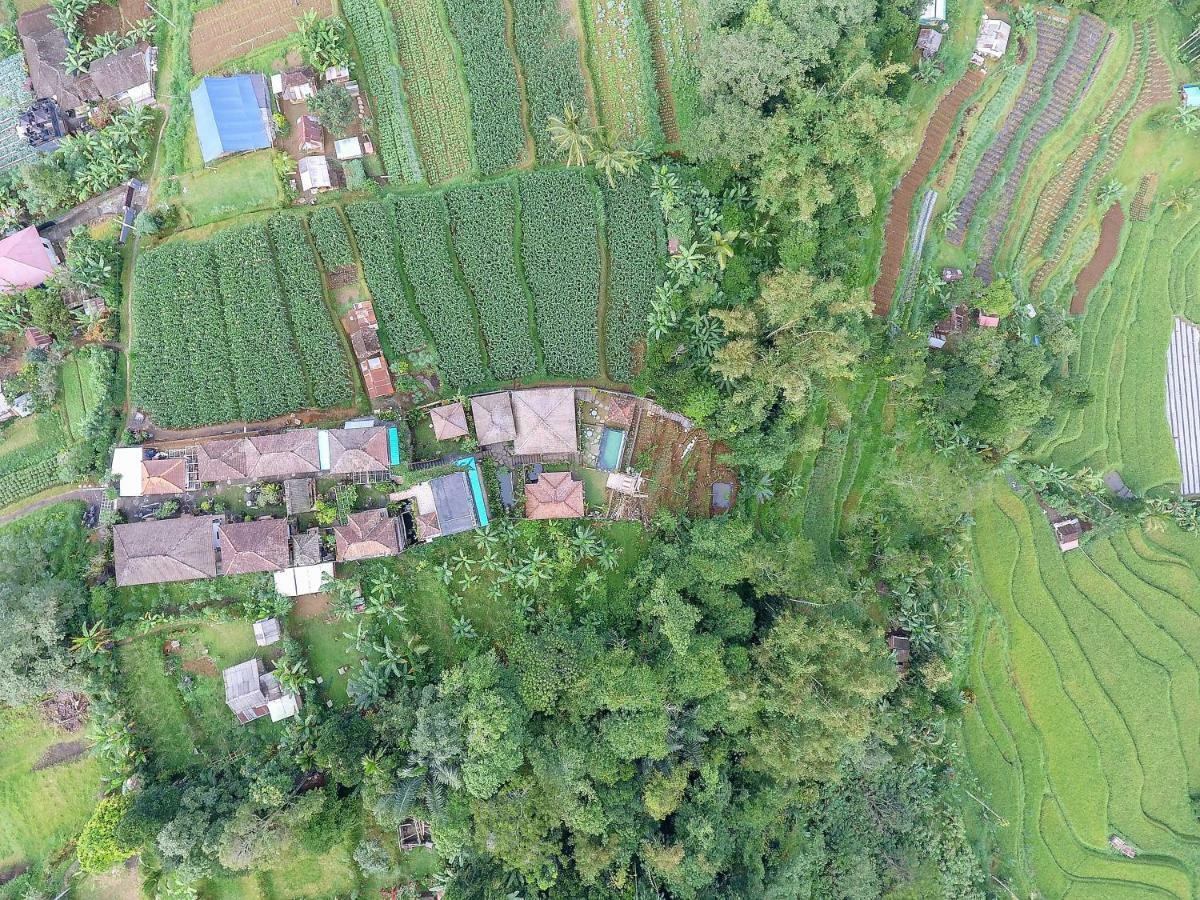 Pondok Nyoman Bedugul By Agata Exterior photo
